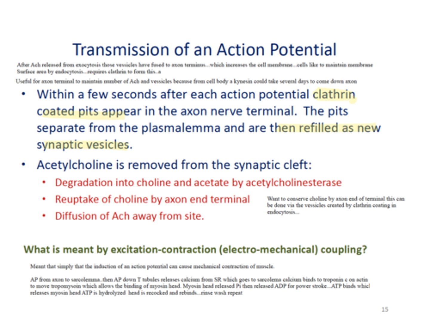 <p>1) Broken down by enzyme acetylcholinesterase<br>2) re-uptake by nerve cell via neurotransmitter surface proteins <br>3) Diffusion away from the synaptic cleft</p>