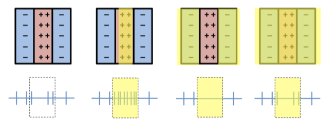 <p>Many of the cells in area V1 have receptive fields with these discrete on and off regions</p><ul><li><p><span>By adding up how much light falls on the ON region and how much falls on the OFF region we can accurately predict the response of the cell to any stimulus</span></p></li><li><p><span>Light on none/all of the receptive field- baseline response</span></p></li><li><p><span>Light on facilitatory part of receptive field- above baseline (and vice versa for inhibitory)</span></p></li></ul>