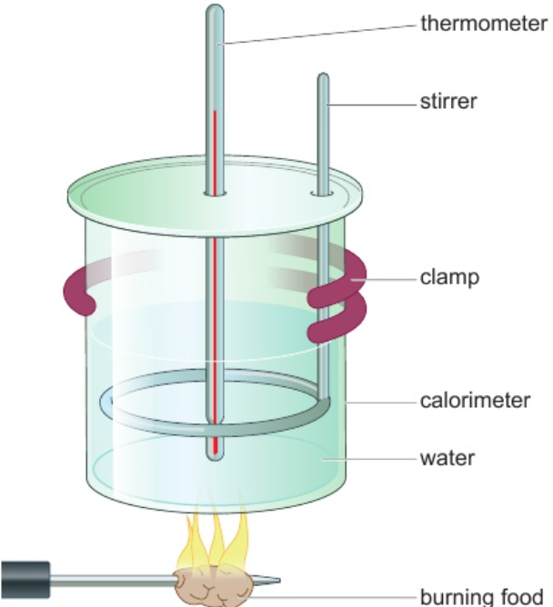 <p>burn in calorimeter - measures energy taken in &amp; given out in chemical reaction</p><p>amount of energy transferred from burning food → water - calculated from increase in water temp.</p>