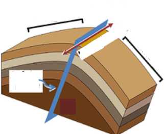 <p>What can you find in this image?</p>