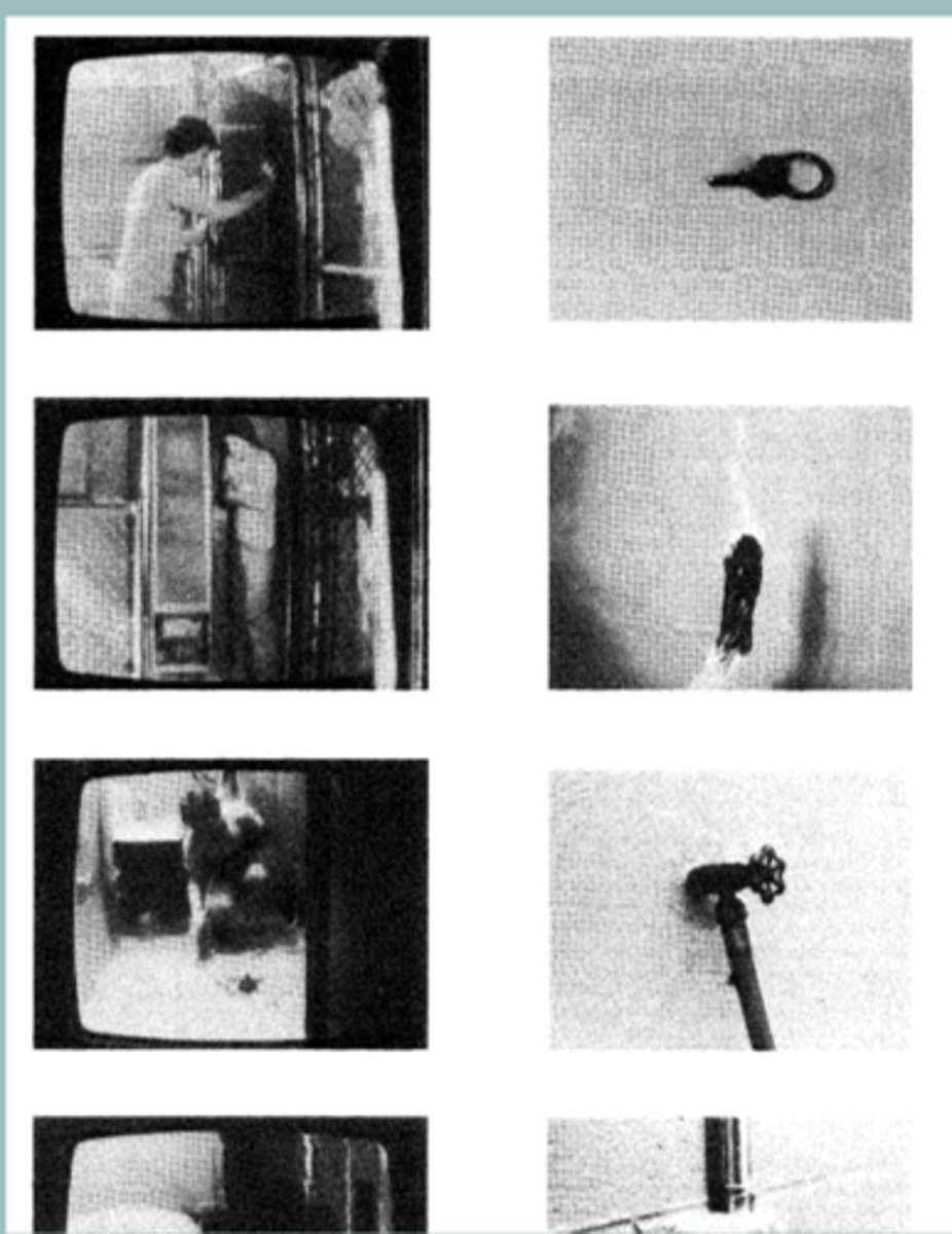 <p>The chimp offered the appropriate solutions to the actors problems which suggested it understood the actors intention/goal. </p>