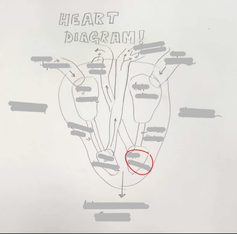 <p>What Structure is this? </p>