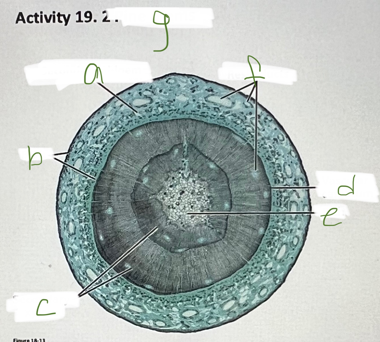 <p>b</p>