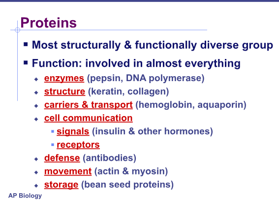 <p>Function of proteins:</p>