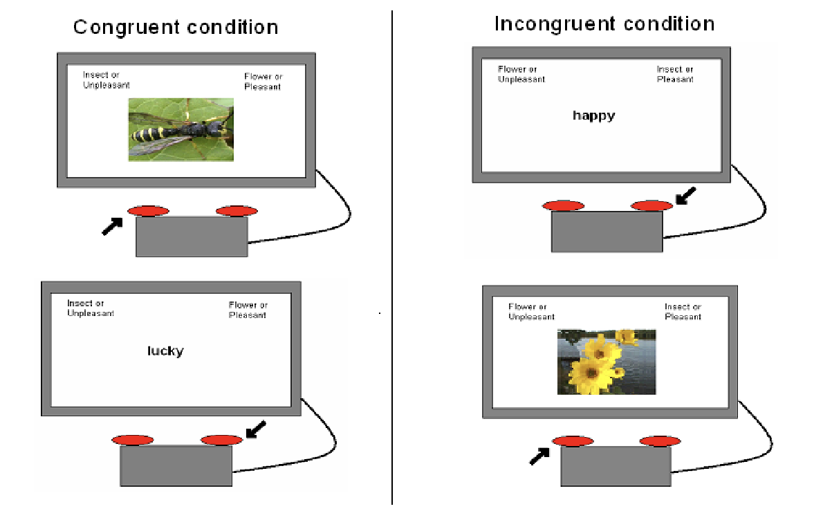 <ul><li><p>you have the thing that you are interested in </p></li><li><p>classic example is flowers (like) and insects (don’t like) </p></li><li><p>show pictures one at a time and classify the images as either a flower (by pressing one button) or an insect (by pressing another button) </p></li><li><p>also have words that come up (attribute dimensions) that are either good or bad and have to classify them aswell </p></li><li><p>two conditions - congruent and incongruent - within subject so all take part in both </p><ul><li><p>congruent = insect or unpleasant as one button, flower or pleasant as the other </p></li><li><p>incongruent = insect or pleasant as on a button, flower and unpleasant as the other button </p></li></ul></li><li><p>The incongruent condition is much harder due to interference </p></li></ul><p><em>similar principle to the Stroop test</em></p><p></p><p>has a large effect size, is easy to use, reliable, lots of supporting evidence for the method (Greenwald et al, steffens and buchner etc)</p><p></p>