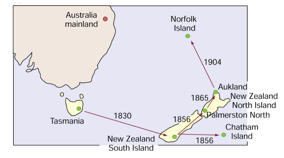 <p>→A small number of silver eyes leave a large population to establish a new one, and this new colony only has a tiny fraction of the original genetic diversity</p>