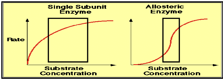 * binding of one ligand molecule affects the binding of subsequent ligand molecules
* This is the binding of a ligand to one subunit in a multimeric complex that changes the affinity of all of the subunits for that ligand. 
* The stylized graphs demonstrate the significance of this mechanism. 
* On the left is a typical enzyme kinetics curve for a monomeric enzyme. 
  * The substrate concentration is on the X‐axis and the rate of reaction on the Y‐axis. 
  * Vmax can be used to calculate the Km of the substrate‐protein interaction. 
* On the right is the enzyme kinetics curve for a multimeric allosteric enzymes that demonstrates cooperative binding. 
* The slope of the curve has changed during the reaction causing an “S”‐shaped curve.