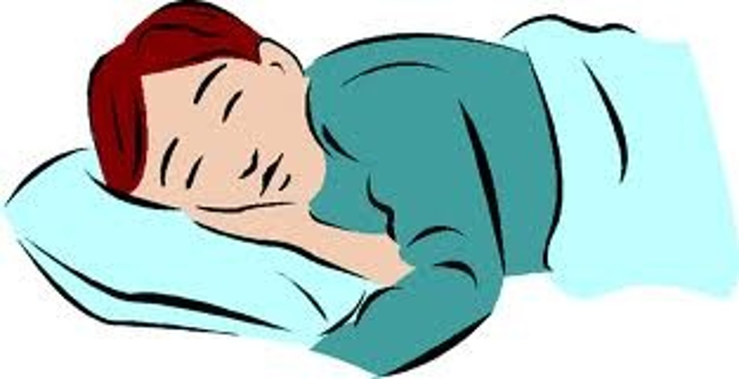 <p>I slept, s/he slept</p>