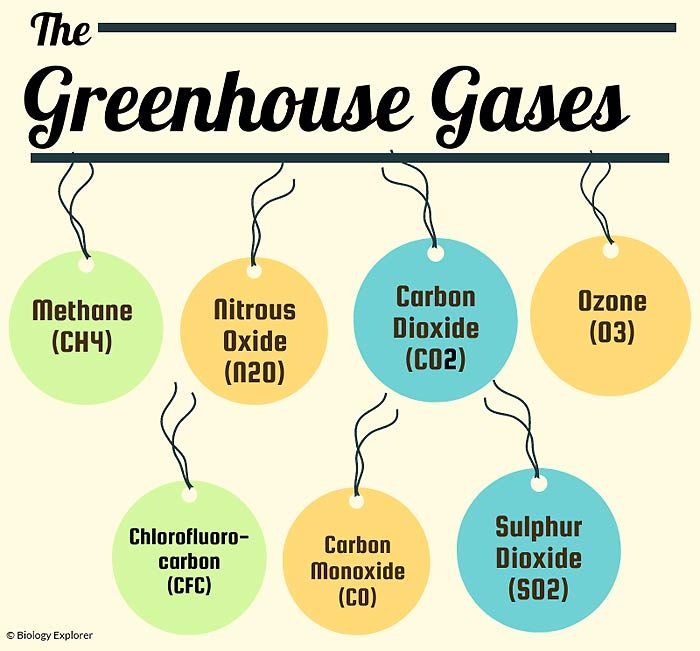 <p>The process by which gases in the atmosphere trap solar energy is called the greenhouse effect. Greenhouse gases include water vapor, carbon dioxide and methane</p><p>Among these, CFC is the worst.</p>