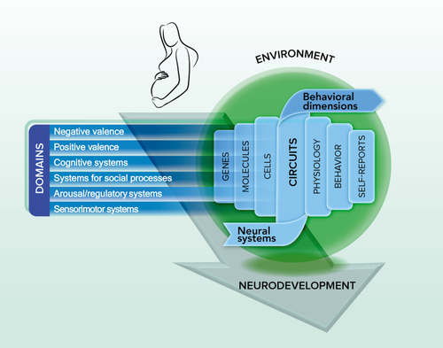 <p>negative valence, positive valence, cognitive systems, systems for social processes, arousal/regulatory systems, sensorimotor systems</p>