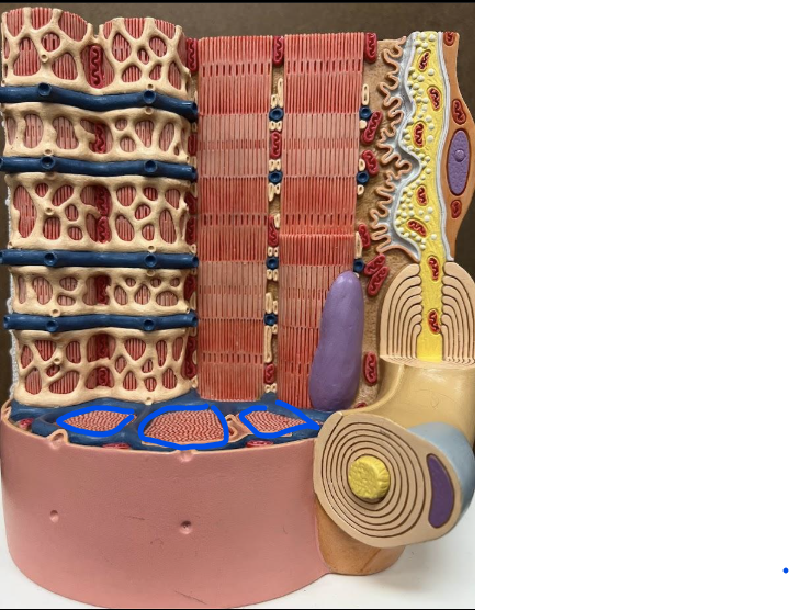 <p>What is this?</p>