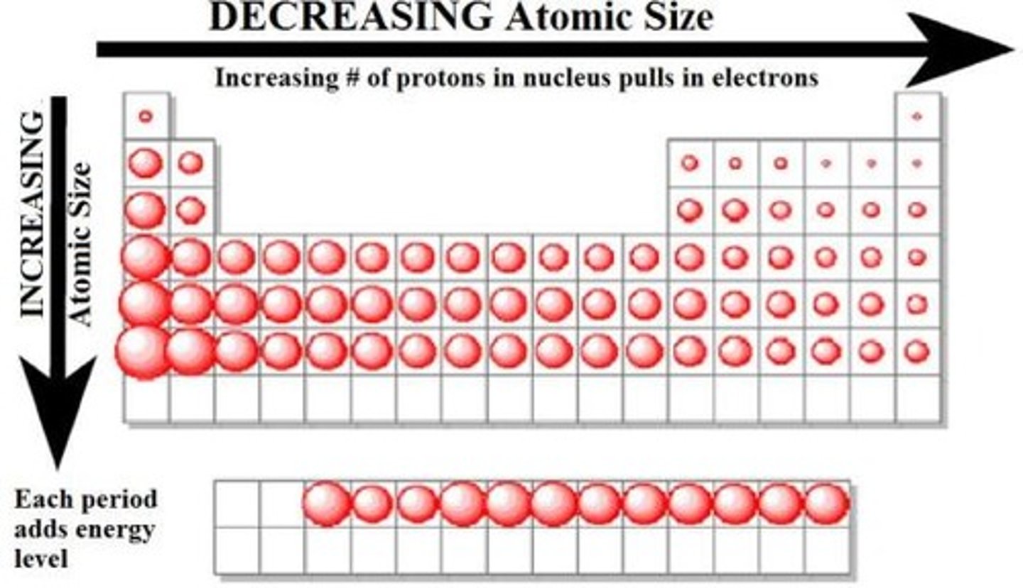 <p>-Decreases as you go up and to the right on the periodic table</p><p>-As you go up there are less energy levels and as you go right there are more protons pulling on the valence electrons so they are closer to the nucleus</p><p>-more electronegativity = more pull so less space between nucleus and valence electrons so smaller atomic radius</p><p>-distance from nucleus to valence shell</p>