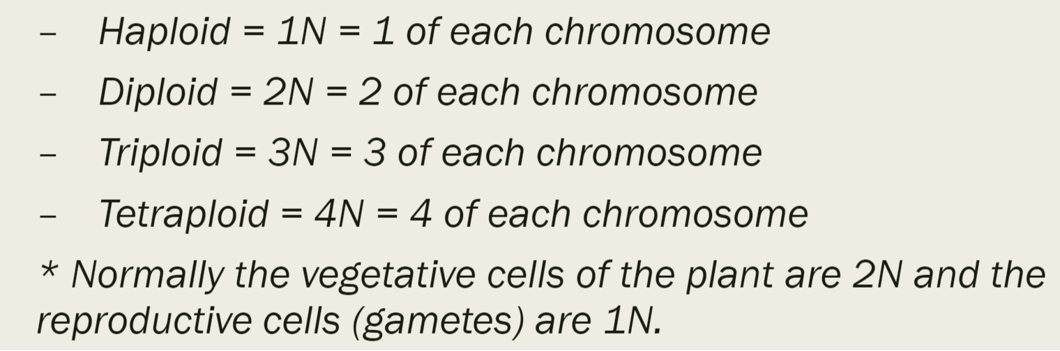 <p><span style="font-family: sans-serif">the number of sets of chromosomes present in the nucleus of the cell (also study the picture!!)</span></p>