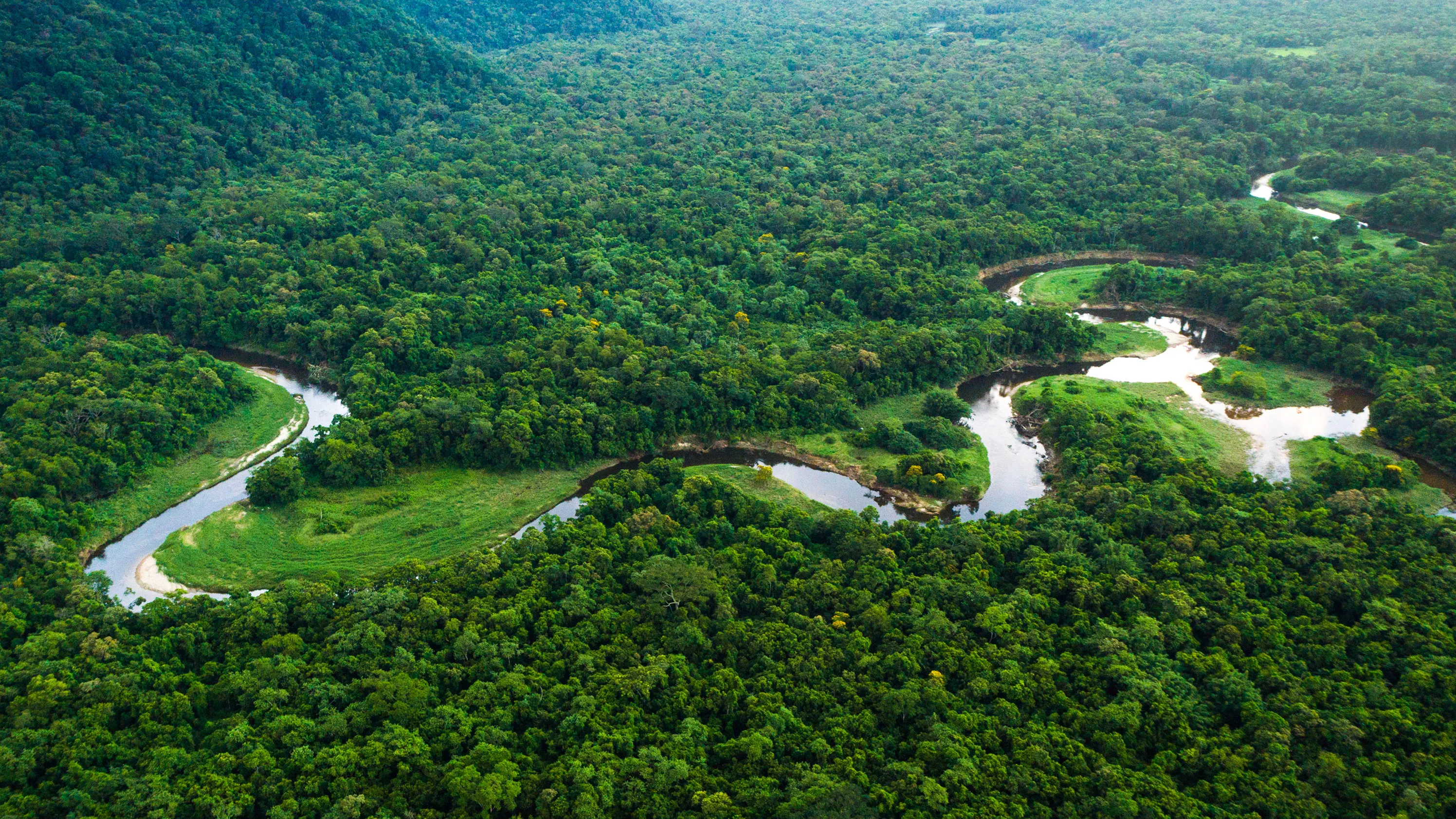 <p>the largest rain forest in the world, located in South America</p>