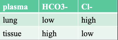 O2 binding affinity: temp, pH (Bohr), DPG, other gases

CO2 transport: bicarbonate and chloride levels, affinity of Hb for CO2 (Haldane effect), intracellular pH of RBC (Bohr)

body pH: CO2, HCO3, H+ 

around lung: CO2 removed, O2 onload high

around tissue: CO2 made, O2 offload high