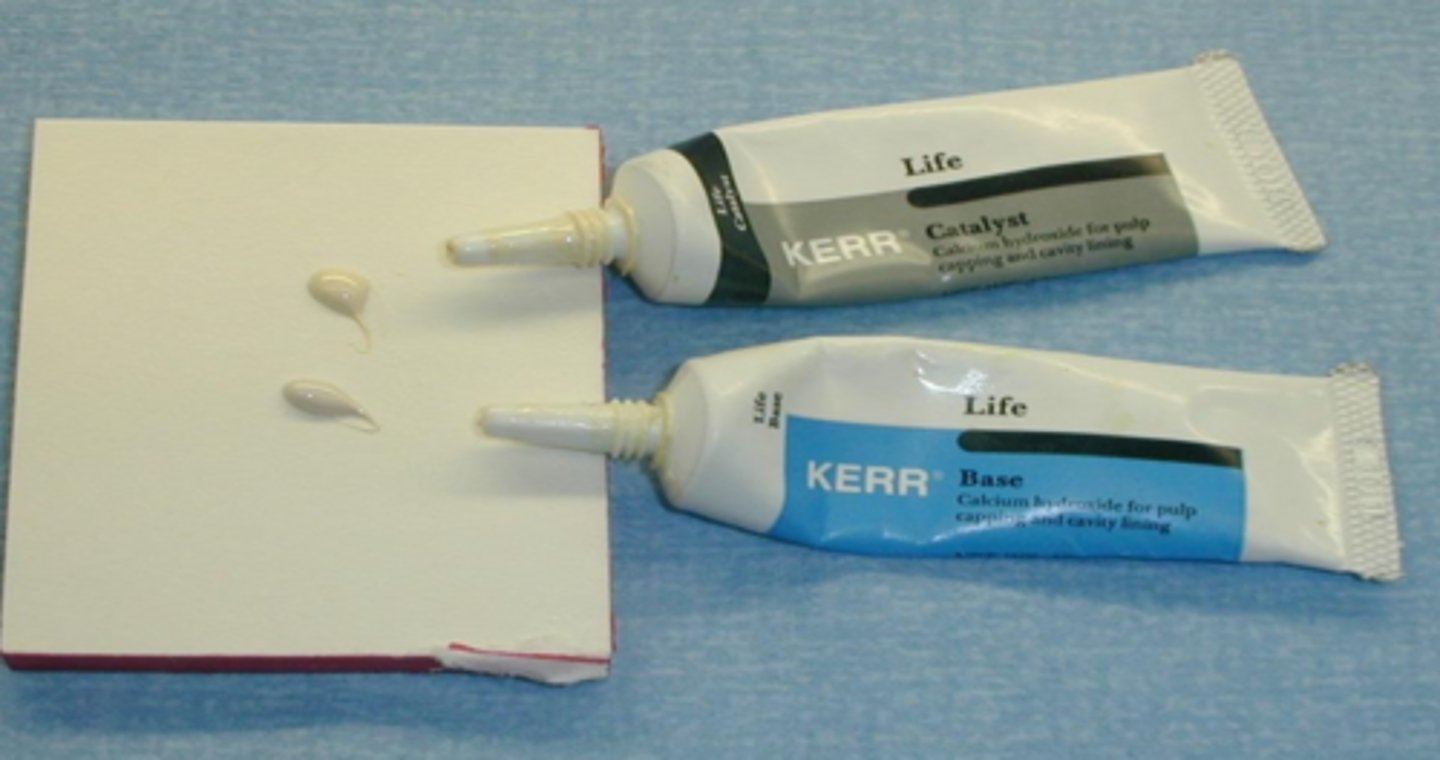 <p>catalyst, base</p>