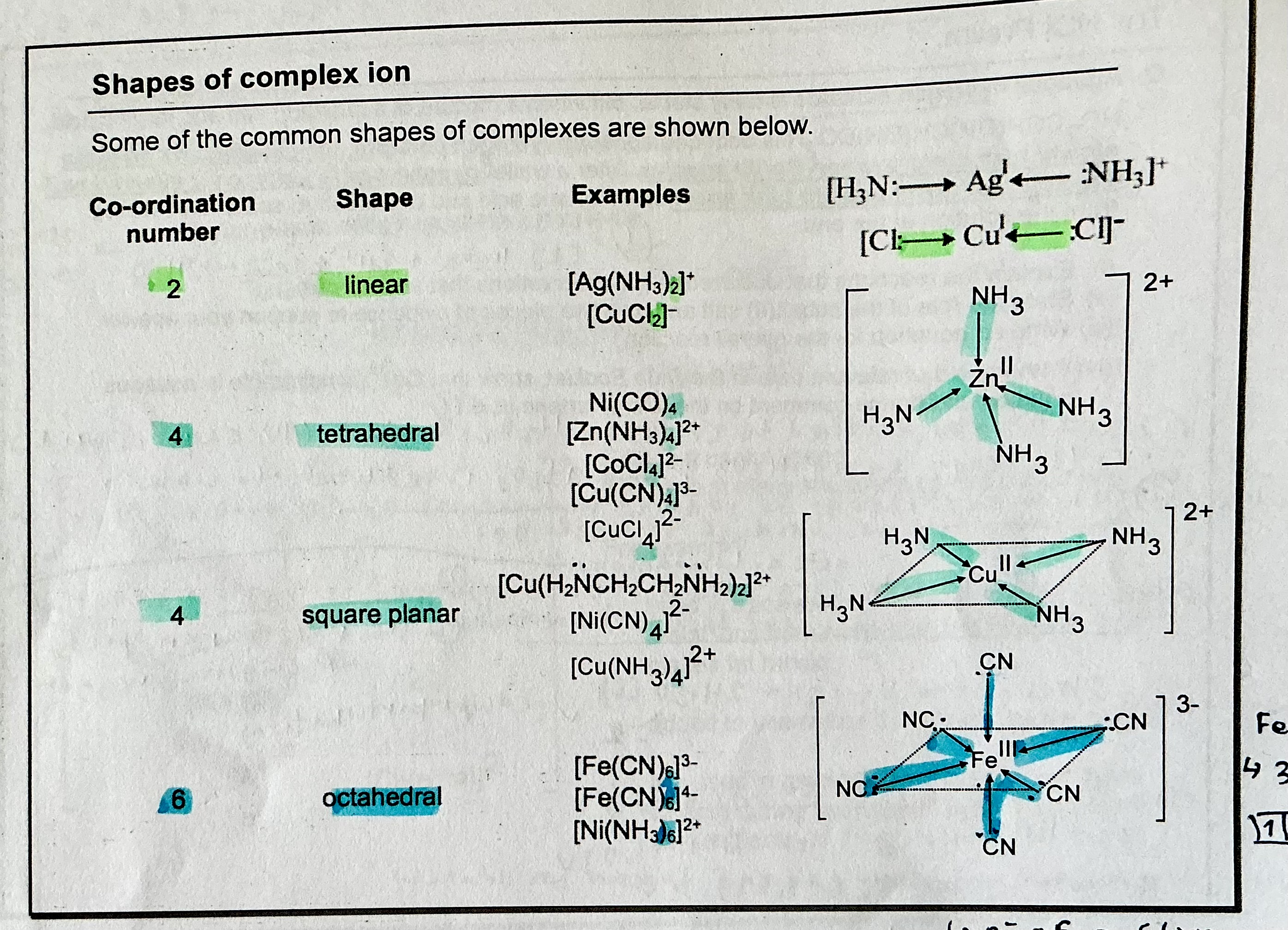 <p>shapes of complexes</p>