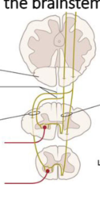 <p>What’s happening here?</p>