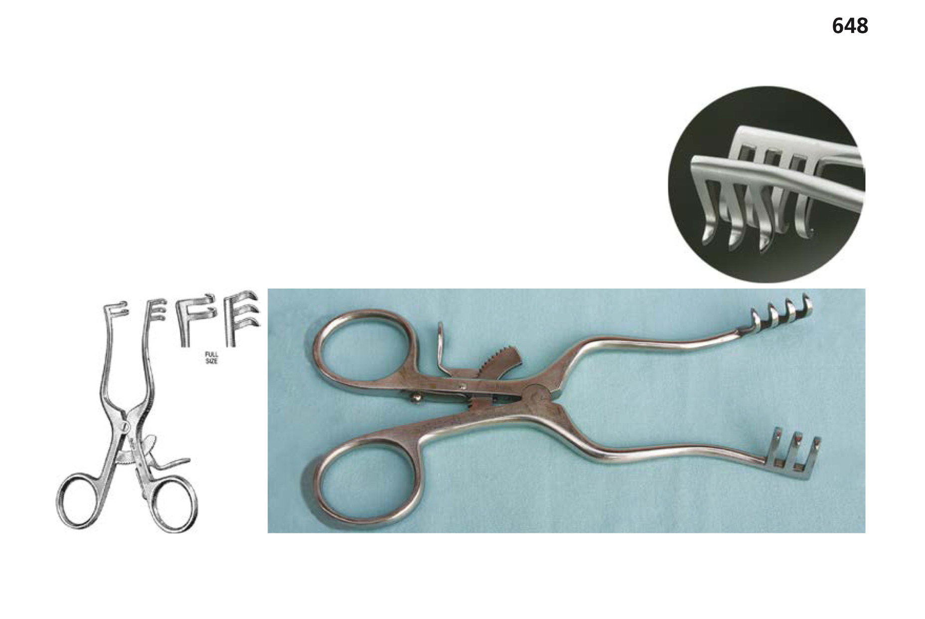 <p>Function: To maintain muscle retraction during orthopedic surgery.</p>