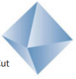 <p>What cut is this?</p>