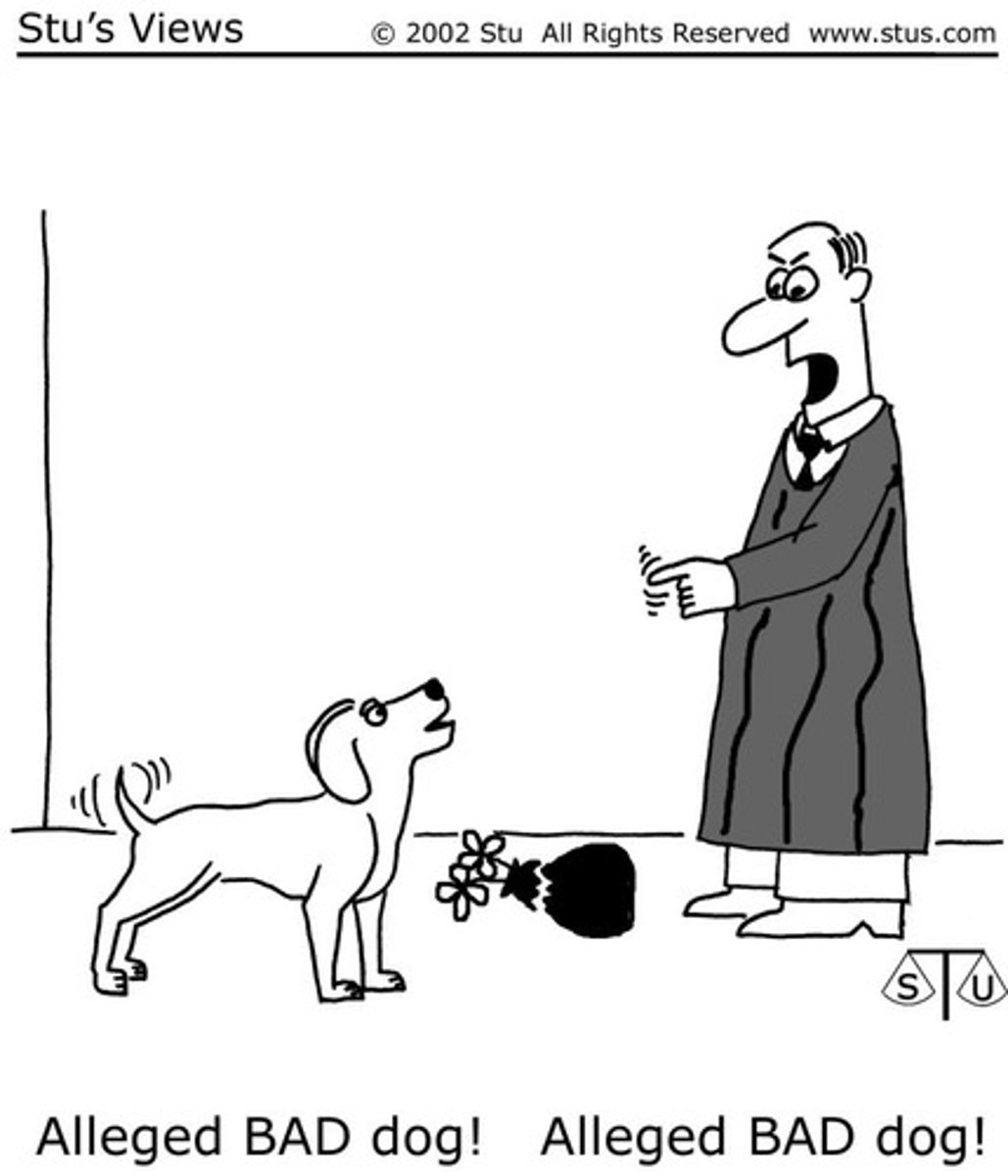 <p>NOW --&gt; accused is presumed innocent, COFFIN V. UNITED STATES (1895) established the presumption of innocence of persons accused of crimes</p><p>THEN --&gt; accused is presumed guilty, no bonds required of accuser during salem trials until 1962, made it easier to make witchcraft charges</p>