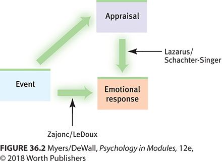 <p>Lazarus Cognitive Appraisal Theory</p>