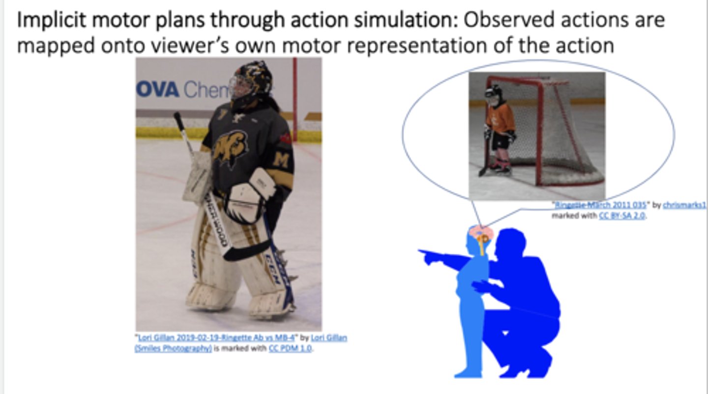 <p>Implicit mapping through action simulation: Mapping observed actions onto our own motor plan</p>