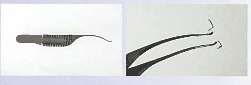 <p>Colibri forceps</p>