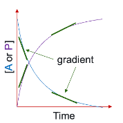 <p>[P] is its mirror image </p><p>at the same time points -d[A]/dt = d[P]/dt </p><p>gradients have same magnitude but opposite sign </p>