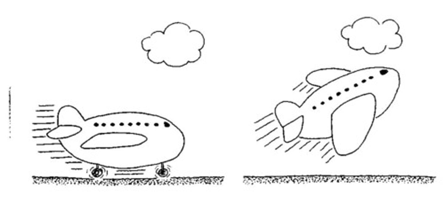 <p>взлетать, расти</p>