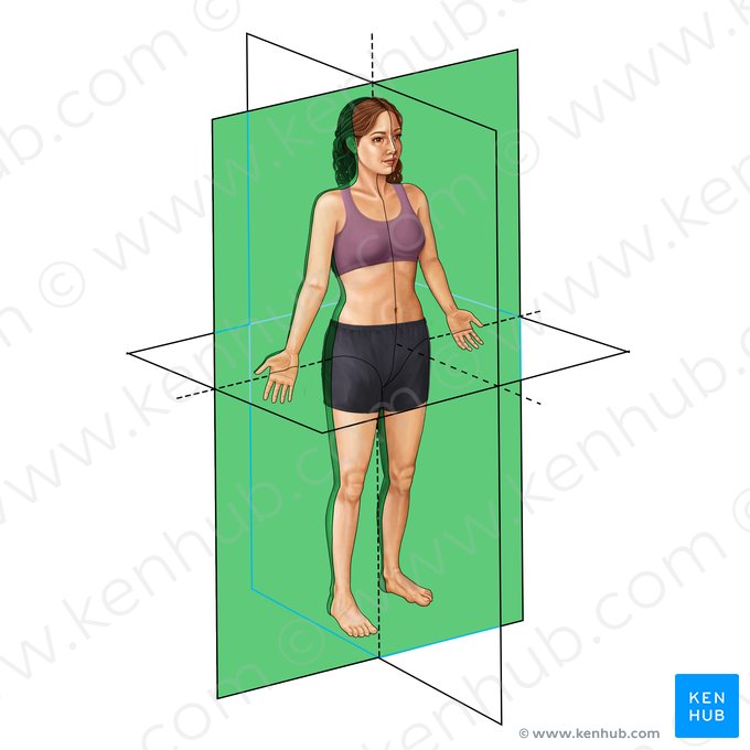 <p>-crown</p><p></p>