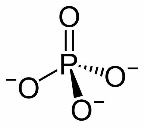 <p>PO<sub>4</sub><sup>3-</sup></p>