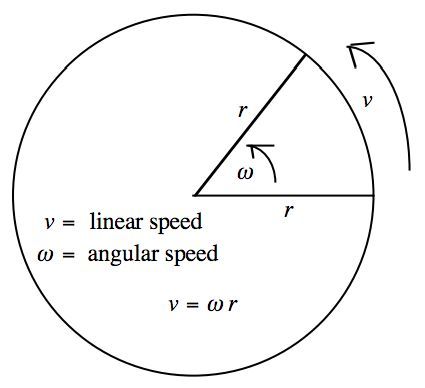 <p><em>v</em>=<em>r</em>ω → linear speed can also be found by multiplying the radius by the angular speed</p>
