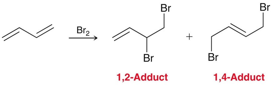 <p>Adding X<sub>2</sub> to a conjugated system resultings in the 1,2- and 1,4- addition products.</p>