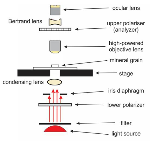 <p>ocular lens<br>bertrand lens<br>upper polarizer / analyzer<br>high powered objective lens<br>stage<br>condensing lens<br>iris diaphragm<br>lower polarizer<br>filter<br>light source</p>