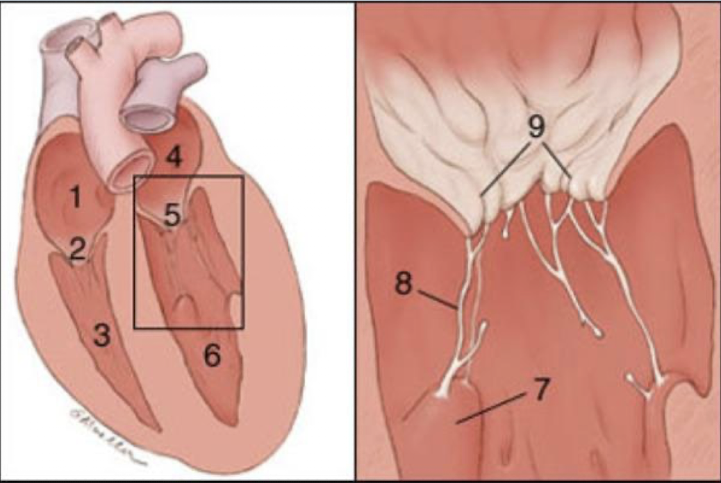 <p>Identify the numbers</p>