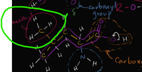 <p>It’s exactly what it sounds like! You have another hydrocarbon (this time methane which is one C bonded by 4 H) attaching to a backbone carbon.<br><br>Edit this card to view the image!</p>