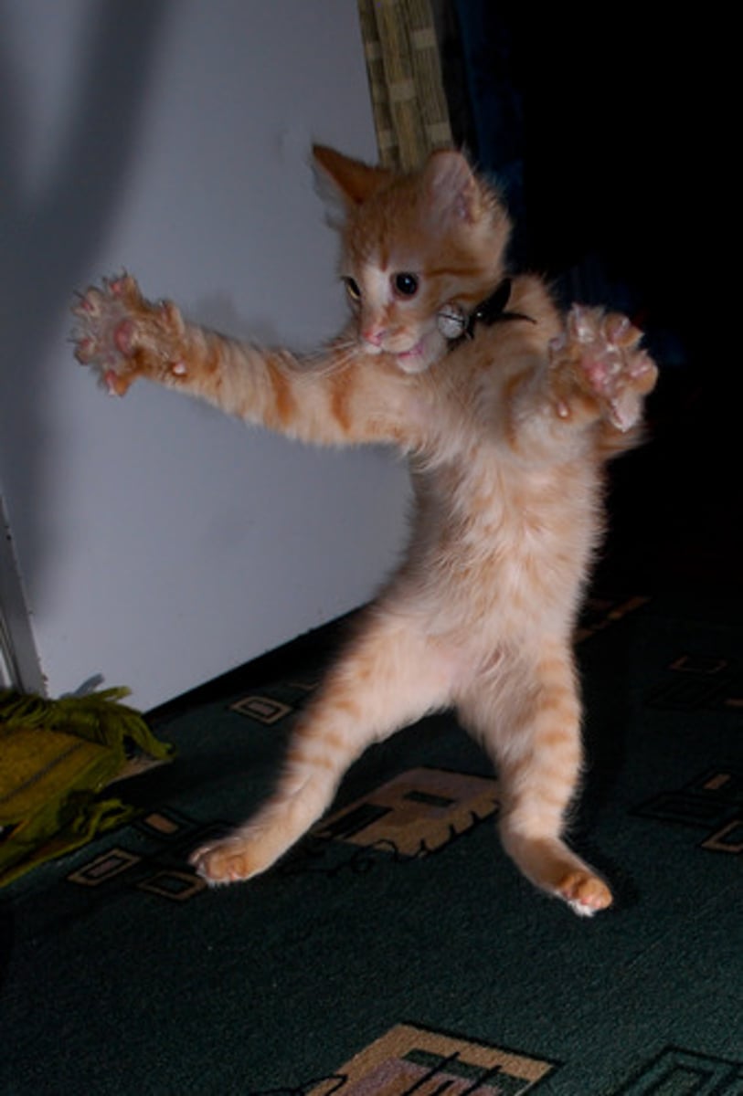 <p>having a lot of energy (mạnh mẽ, tràn đầy năng lượng). Example: He is a very energetic child.</p>