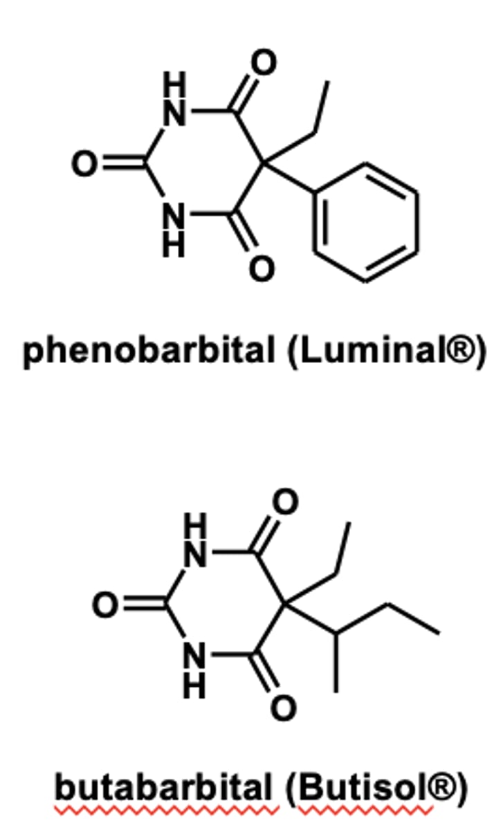 <p>- <strong>pheno<span style="text-decoration:underline">barbital</span></strong></p><p>- <strong>buta<span style="text-decoration:underline">barbital</span></strong> </p>