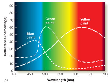 <p>what occurs when u mix 2 paints/color together. You subtract all wavelengths except the ones associated with mixed color (ex. blue and yellow stay for green)</p><p></p>