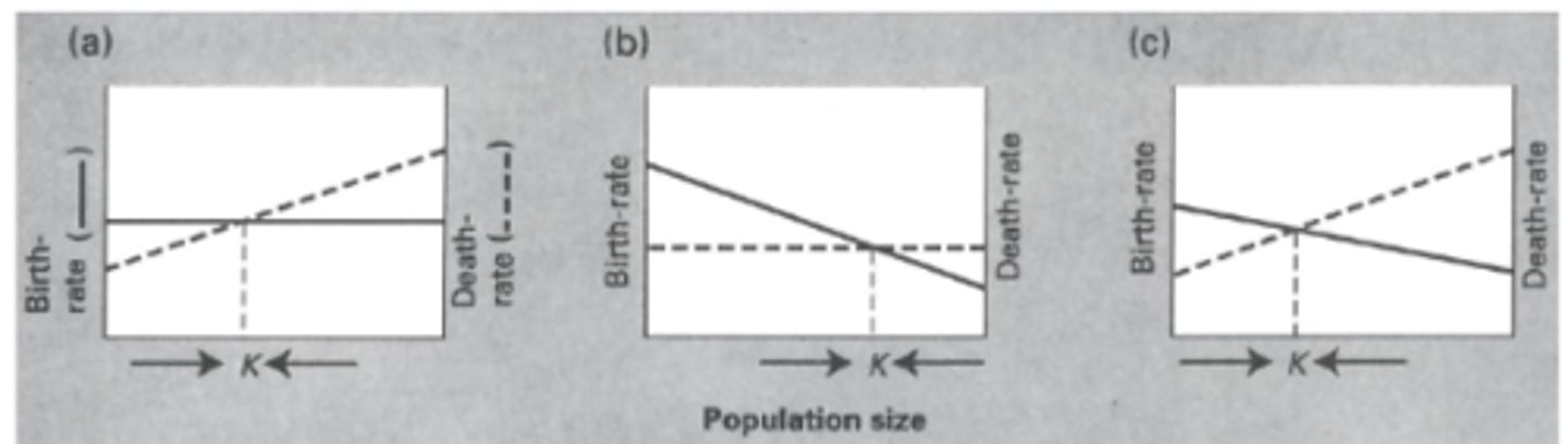 <p>a) Density-independents birth</p><p>Density-dependent death</p><p>b) Density-dependents birth</p><p>Density-independent death</p><p>c) Density-dependents birth</p><p>Density-dependent death</p>