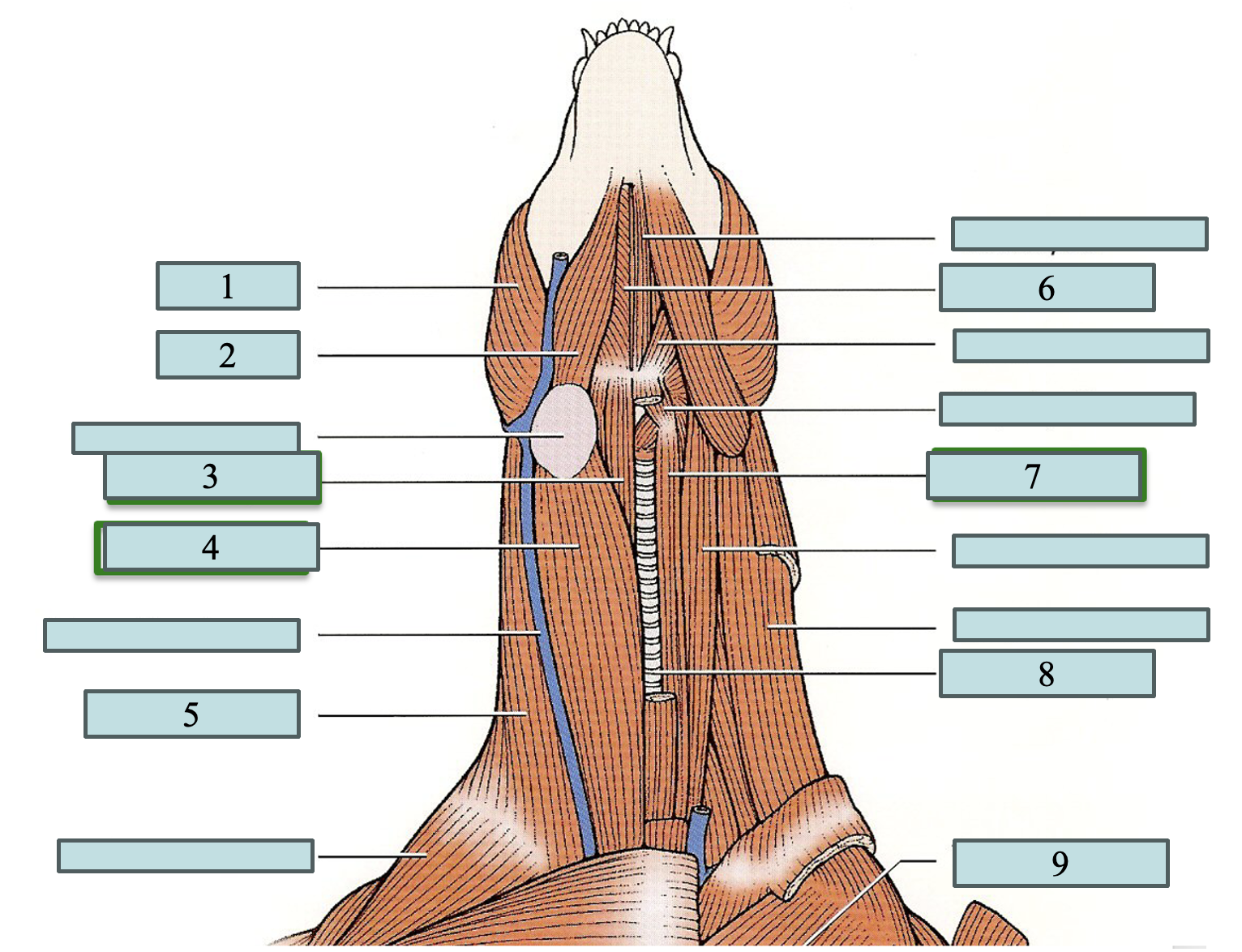 <p>2</p>