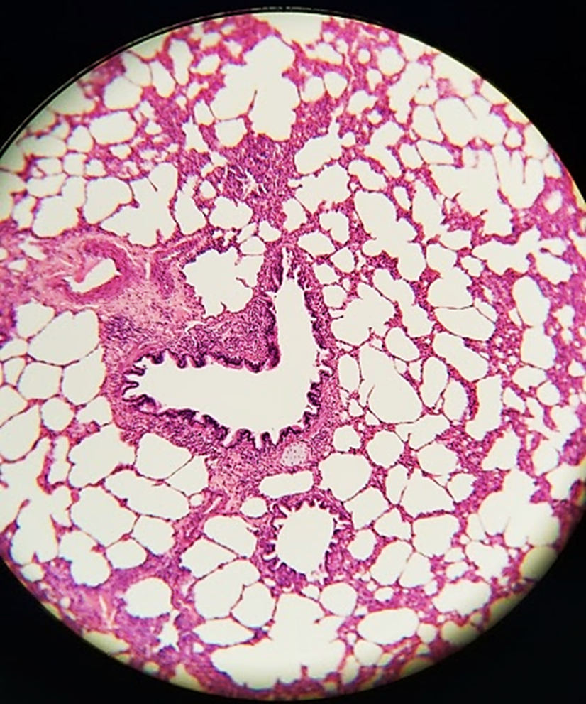 <p>what is this sample?</p>