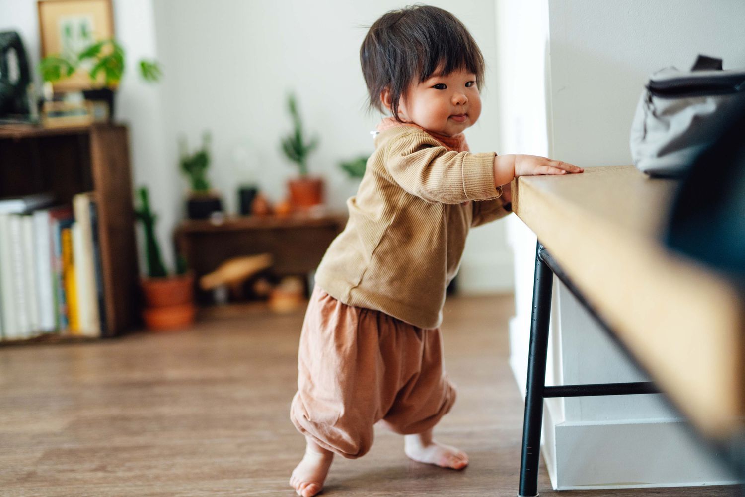 <ul><li><p><strong><mark data-color="purple" style="background-color: purple; color: inherit">up on hands and knees</mark></strong></p><ul><li><p>begins to dislike prone</p></li></ul></li><li><p style="text-align: left"><strong><mark data-color="purple" style="background-color: purple; color: inherit">crawls/creeps</mark></strong></p><ul><li><p style="text-align: left">reciprocal creep</p></li></ul></li><li><p style="text-align: left"><strong><mark data-color="purple" style="background-color: purple; color: inherit">transitions</mark></strong><mark data-color="purple" style="background-color: purple; color: inherit"> btw positions</mark></p><ul><li><p style="text-align: left">in/out sitting</p></li></ul></li><li><p style="text-align: left"><em><mark data-color="yellow" style="background-color: yellow; color: inherit">pulls to stand</mark></em></p></li><li><p style="text-align: left"><strong><mark data-color="purple" style="background-color: purple; color: inherit">cruises</mark></strong><mark data-color="purple" style="background-color: purple; color: inherit"> on furniture</mark></p><ul><li><p style="text-align: left">sideways, around furniture, slight turn to direction</p></li></ul></li></ul><p></p>