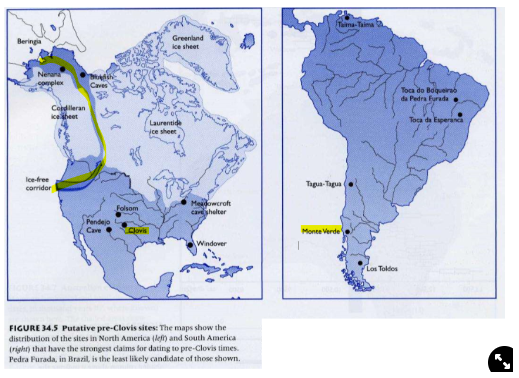 <ul><li><p><strong>spread to South America very quickly ~30,000ya</strong></p><ul><li><p>either one group came in from the Americas and another sailed across the Pacific Ocean</p></li><li><p>evidence suggests that all Americans remains’ closest relatives are Siberian→ there was only<strong> one group </strong>came in and spread out</p></li></ul></li></ul>