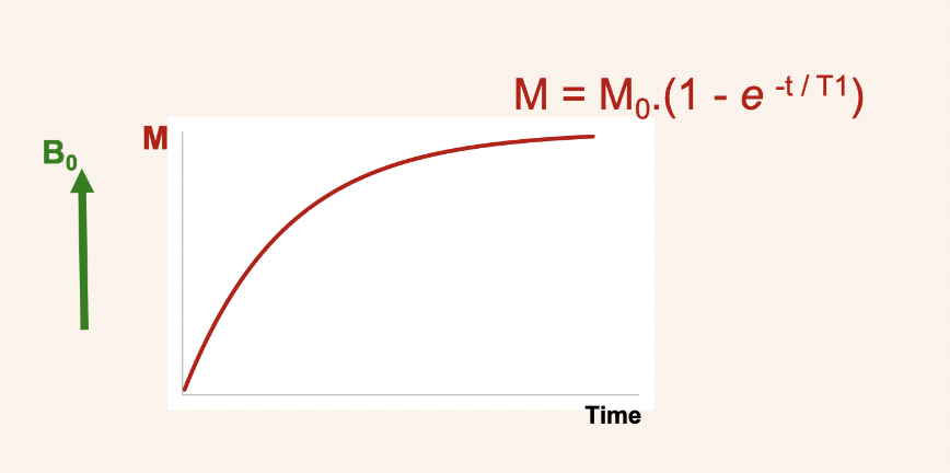 <ul><li><p>for t1 low values mean quick recovery so M returns back to original value sooner</p></li><li><p>long T1 will be dark in T1 weighted image</p></li></ul><p></p>