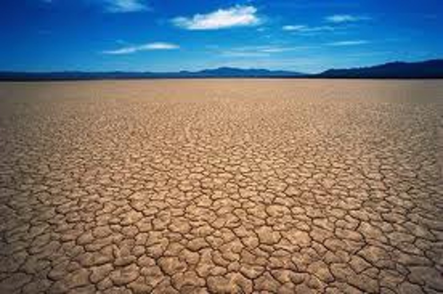 <p>unable to produce plants or children : cằn cỗi, không màu mỡ</p>