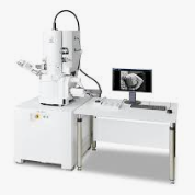 <p>Scanning Electron Microscope (SEM)</p>