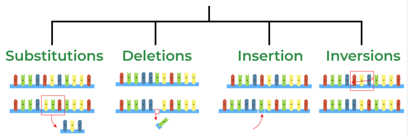 <p><span style="font-family: UICTFontTextStyleBody; font-size: 17px;">Creates variation (errors, radiation, damage).</span></p>