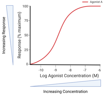 <p>Concentration response curve</p>